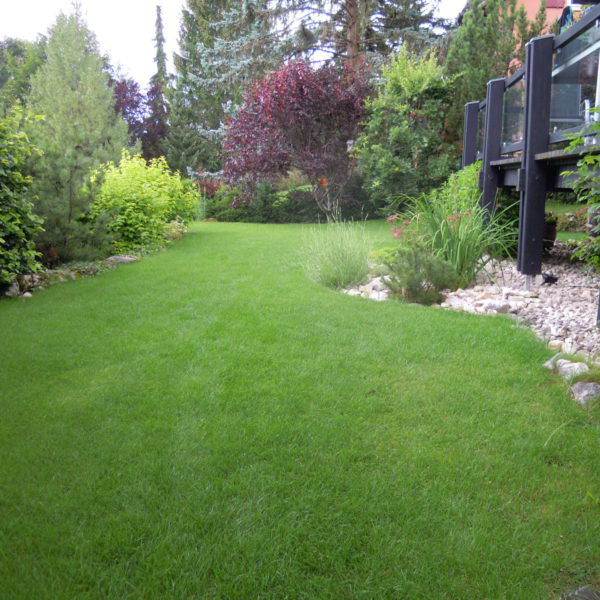 Dubois_Jardins-creations-Pelouse_Prairie-04