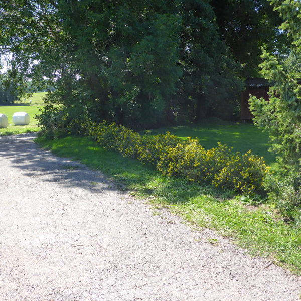 Dubois_Jardins-creations-Plantations-03