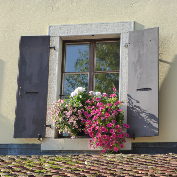 Dubois_Jardins-creations-Plantations-05