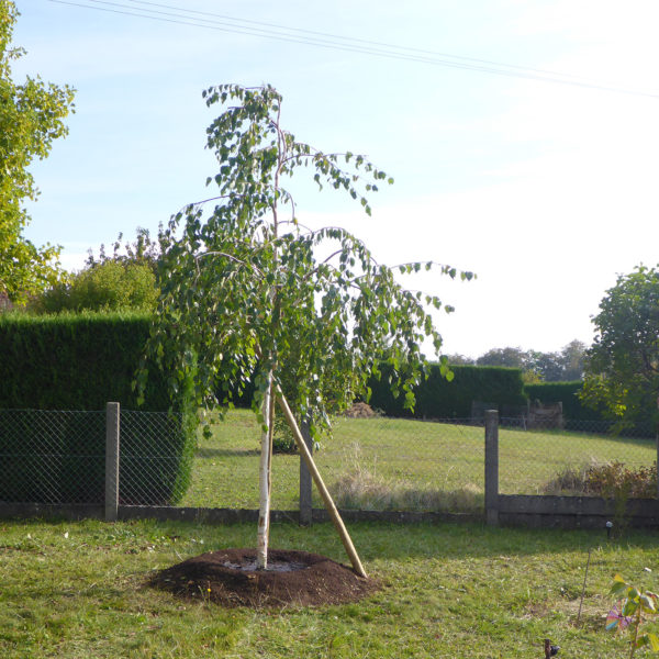 Dubois_Jardins-creations-Plantations-09