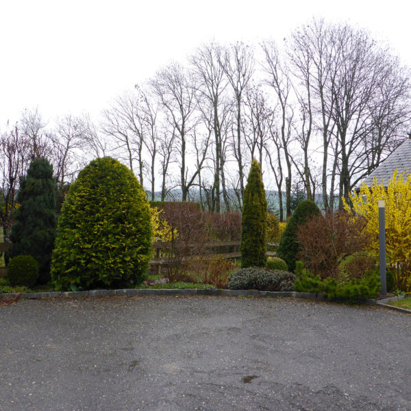 Dubois_Jardins-creations-Plantations-11
