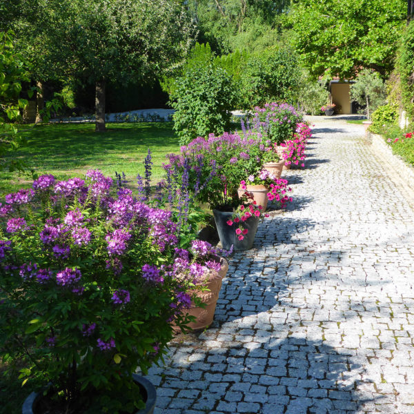 Dubois_Jardins-creations-Plantations-13