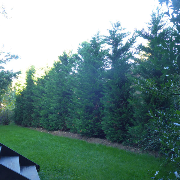 Dubois_Jardins-creations-Plantations-15