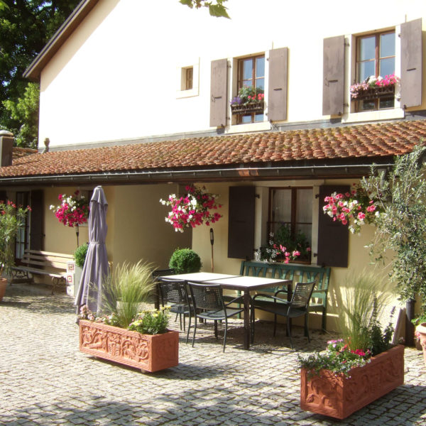 Dubois_Jardins-creations-Plantations-19