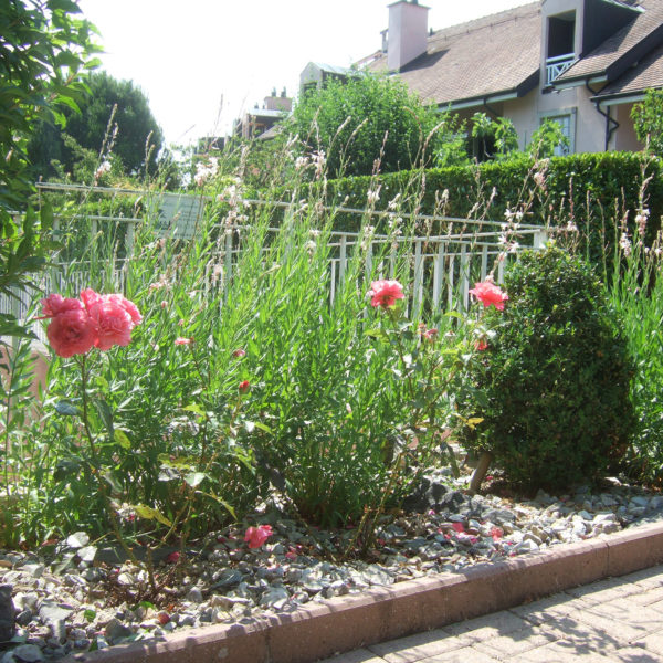 Dubois_Jardins-creations-Plantations-24