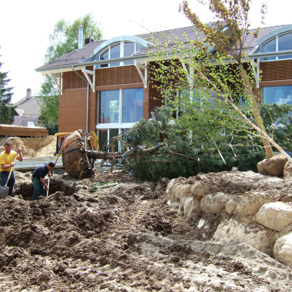 Dubois_Jardins-creations-Terrassements-13