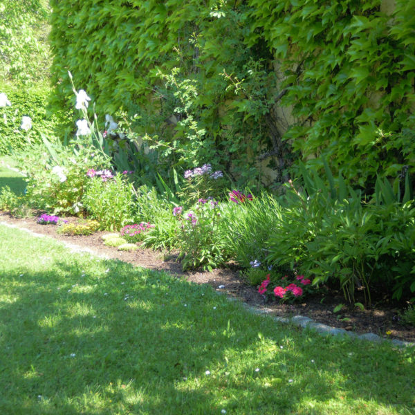 Dubois_Jardins-entretien-entretien_des_plantes-01