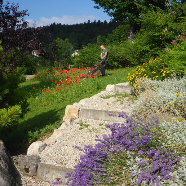Dubois_Jardins-entretien-tonte_scarification_fauche-05