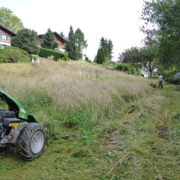 Dubois_Jardins-entretien-tonte_scarification_fauche-06