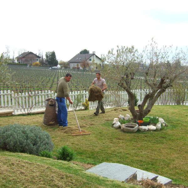 Dubois_Jardins-entretien-tonte_scarification_fauche-09