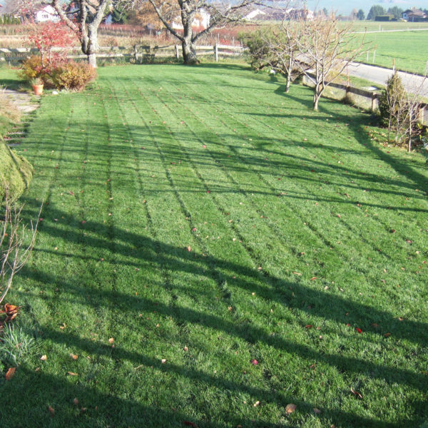 Dubois_Jardins-entretien-tonte_scarification_fauche-10