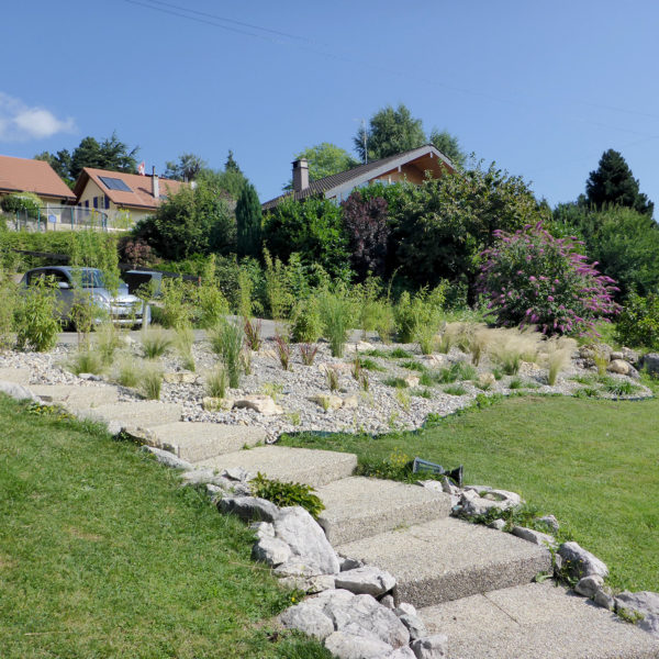 Evolution-travaux-Dubois_Jardins-05