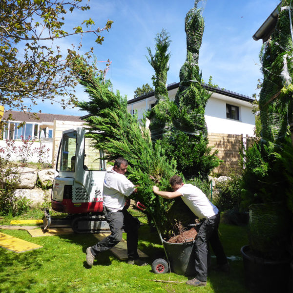 Evolution-travaux-Dubois_Jardins-20
